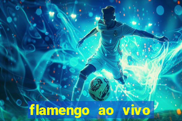 flamengo ao vivo multi tv